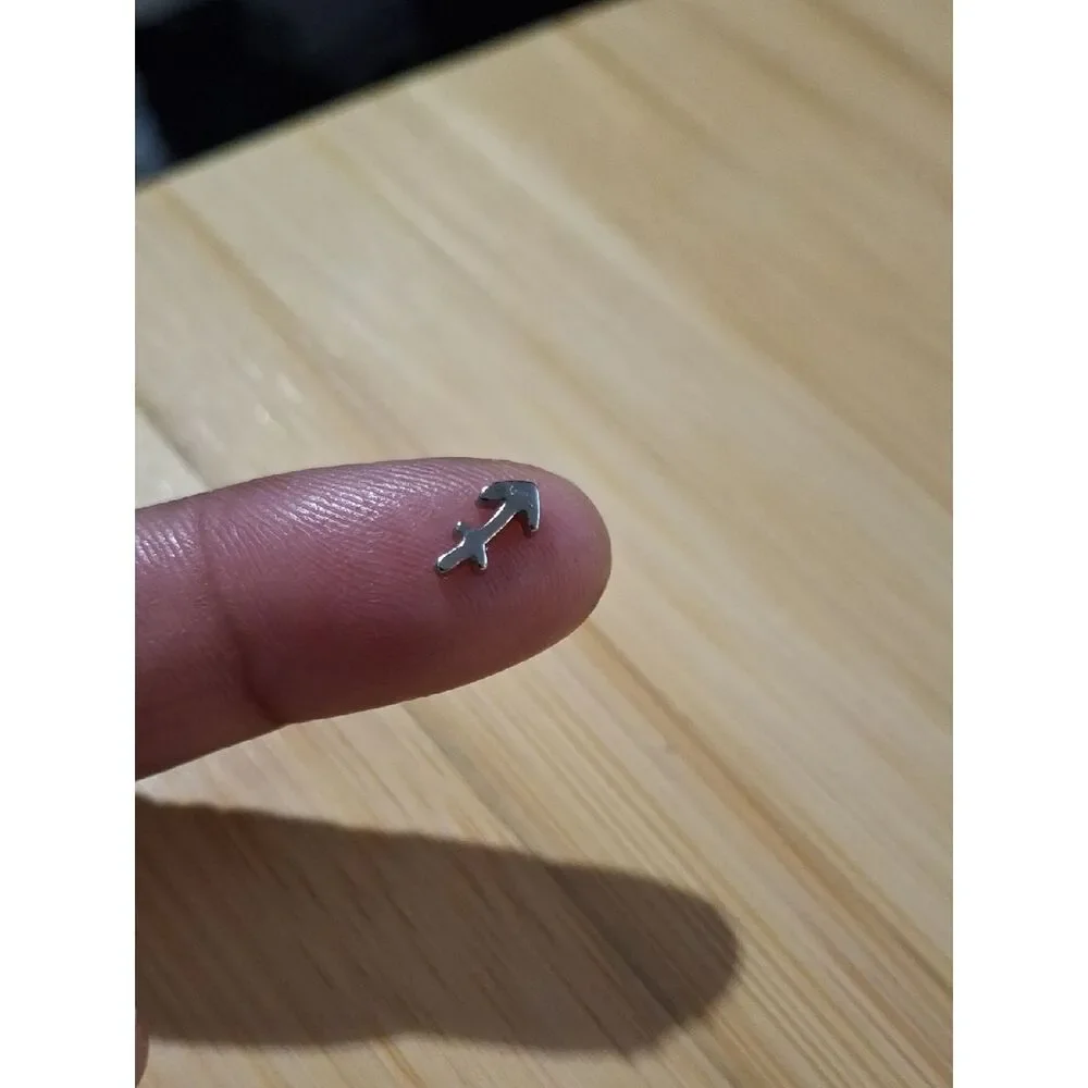 Sagittarius ♐️ Charm For Floating Lockets